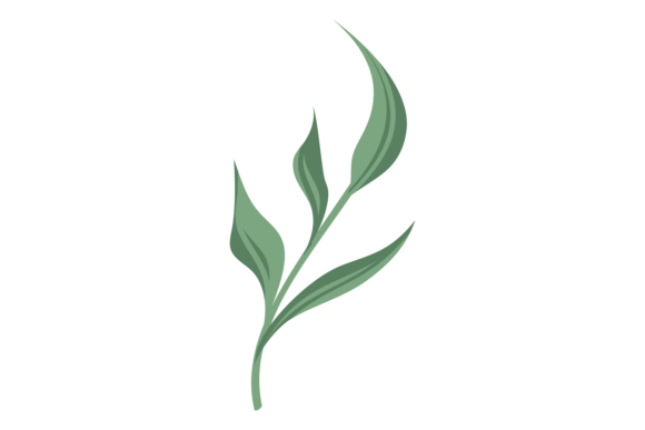 Green Floral Elements: Elevating Wedding & Brand Design