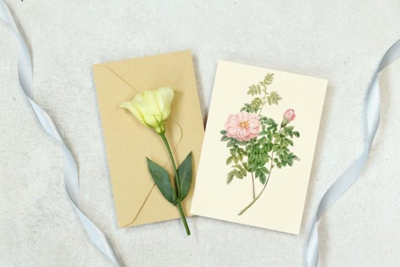 Timeless Beauty: The Elegant Pink Rose Wedding Illustration